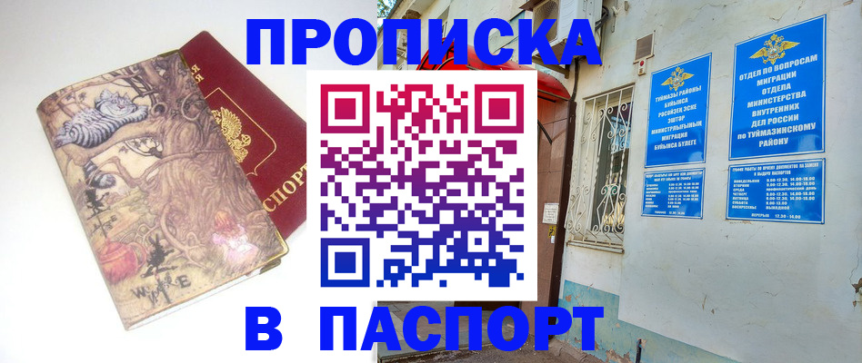 пропишу в квартире в Зеленогорске